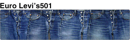 EUR LEVIS 501